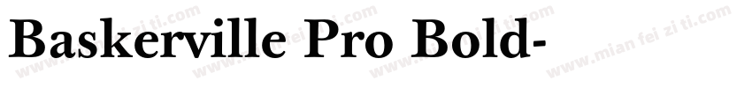 Baskerville Pro Bold字体转换
